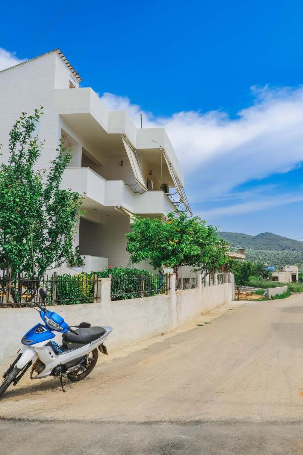 Vila Fredi كساميل المظهر الخارجي الصورة