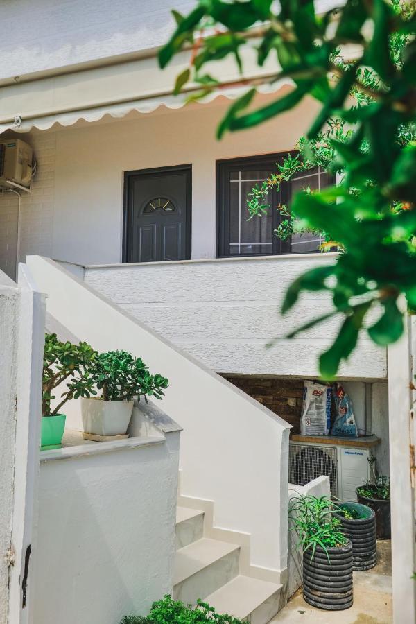 Vila Fredi كساميل المظهر الخارجي الصورة